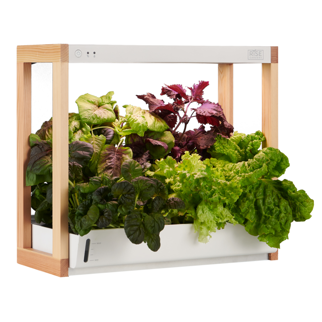 Personal Rise Garden