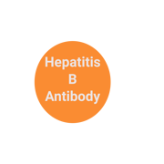 Hep B Titer- (Hep B Surface, antibody) Quantitative