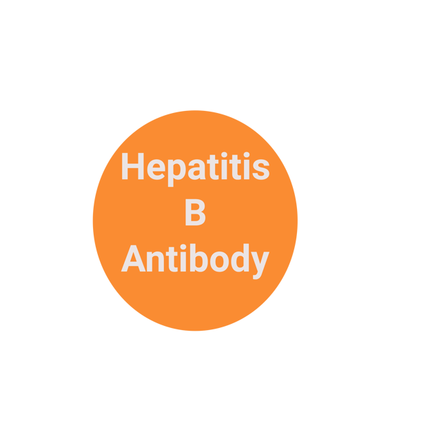 Hep B Titer- (Hep B Surface, antibody) Quantitative