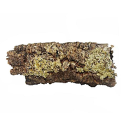 Pangea Cork Bark Rounds