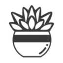 Succulent Studio logo