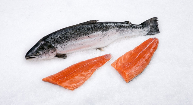 Organic Norwegian Salmon Fillet