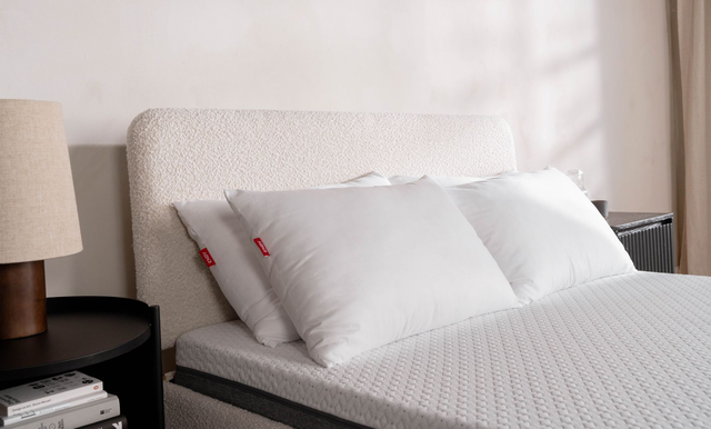 Everyday Pillows – Set of two