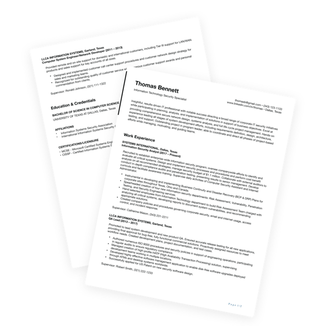 Professional Federal Resume