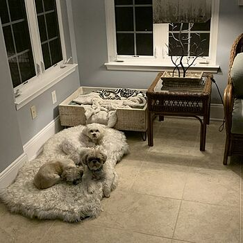 PupRug® Faux Fur Orthopedic Dog Bed Cover - Brown (Bed Not Included)