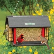 Red Barn Cardinal Feeder