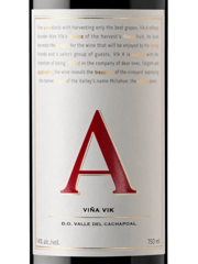 2021 Viña Vik Winery A