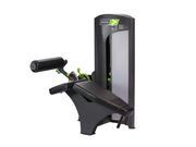 EVOLUTION | Prone Leg Curl