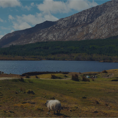 Faux Fur Boot Liners - Lynx