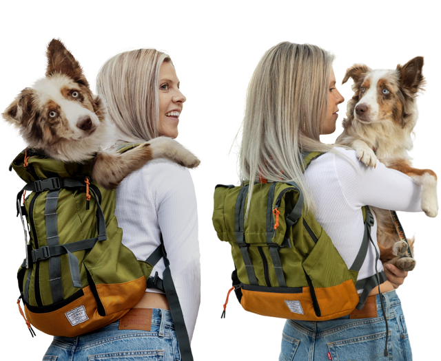 Urban 3 | Dual Use Dog Carrier & Traditional Backpack