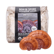 Organic Red Reishi Mushroom Sawdust Spawn