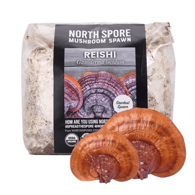 Organic Red Reishi Mushroom Sawdust Spawn