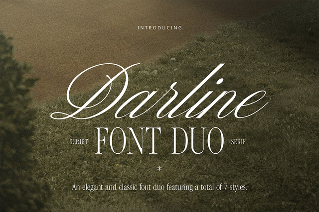 Darline Font Duo, a Script Font by Davide Bassu