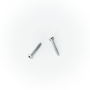 Screw (Main Handle)