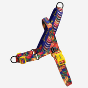 Samba | SofterWalk Harness