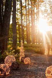 Stargazer Nature Effects Illuminated Vine Sphere