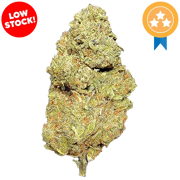 Government Oasis THCA Flower