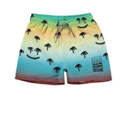 Niko Swim Shorts Palm Spray