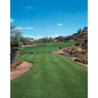 Yukon Turf Type Bermuda Grass Seed