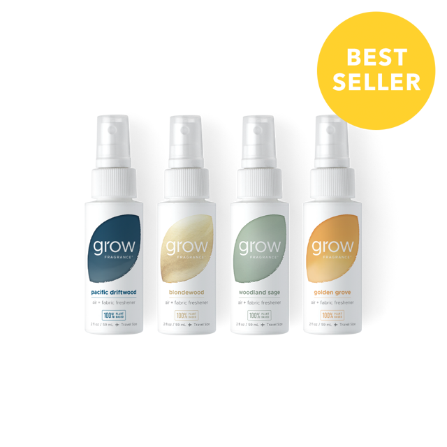 Everyday Favorites Discovery Set