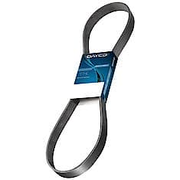 Poly Rib Belt, Premium