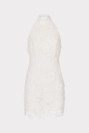 Olivia Rose Trellis Lace Mini Dress