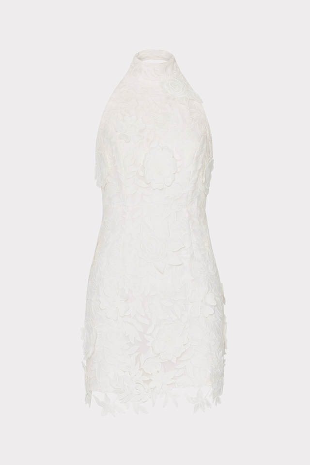 Olivia Rose Trellis Lace Mini Dress