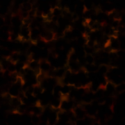 Dark Tortoiseshell Turtle Pattern