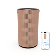 Atem Earth | Room Air Purifier