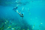 All Inclusive Sailing and Snorkeling Half Day Trip in Bahamas
