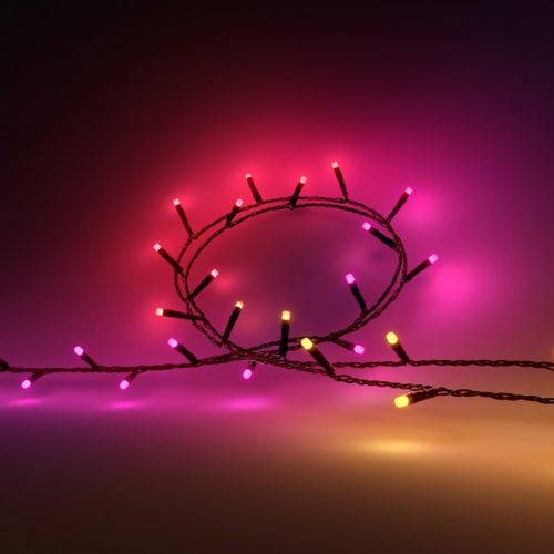 Festavia string lights