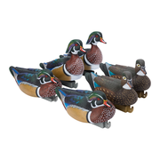 Flight Wood Duck
