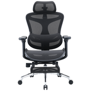 Sihoo C300 Ergonomic Office Chair with Advanced Back Support