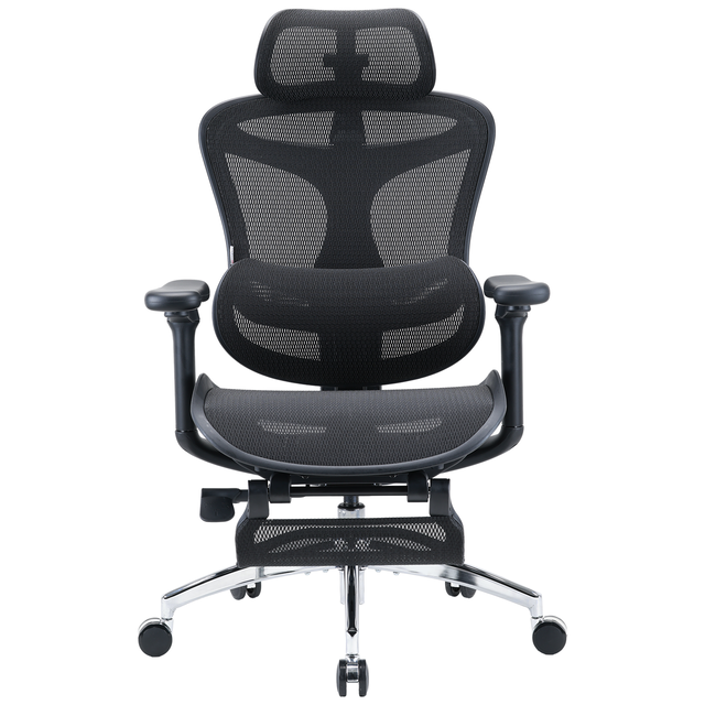 Sihoo C300 Ergonomic Office Chair with Advanced Back Support