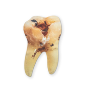 A NASTY TOOTH YOU CAN CLEAN YOUR GLASSES WITH