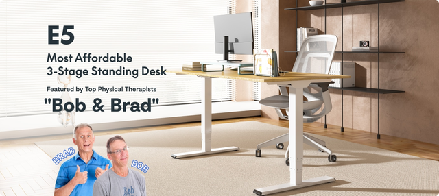Pro Standing Desk (E5)