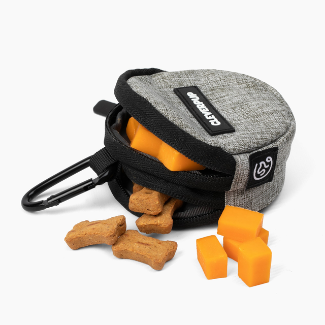 Snackpack Double Insulated Dog Treat Pouch