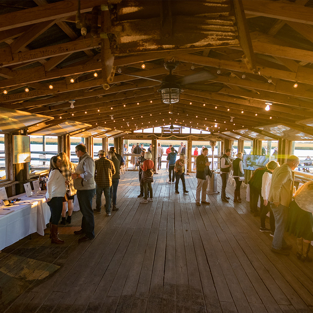 Shellabration 2025 - 4th Annual