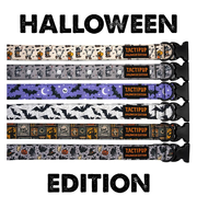Limited Edition: 1.5" Halloween 2025 Collar