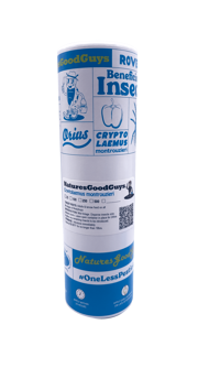 Cryptolaemus montrouzieri - Mealybug Control