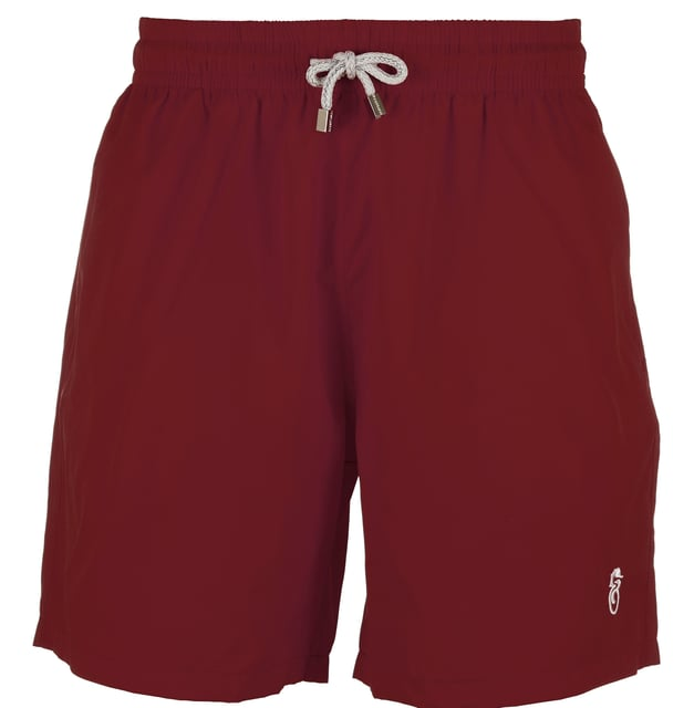 Boys' Burgundy Swim Shorts