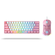 Belle Delphine X Ghost Starter Kitty Combo