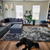 8' x 11.5' Australian Sheepskin Area Rug