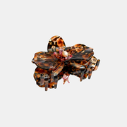 Orchid Claw in Leopard