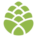 Spruce CBD logo