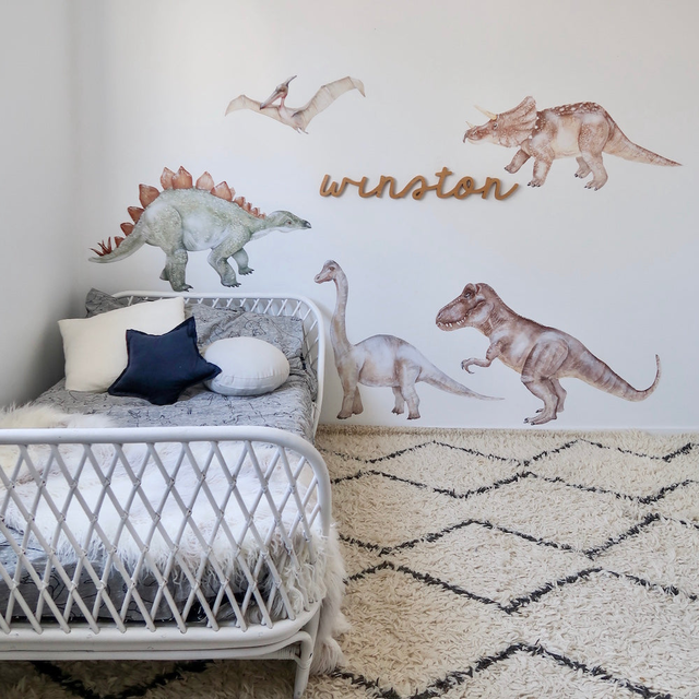 Dinosaur Value Packs