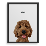 Pet Portrait - CS Gifting