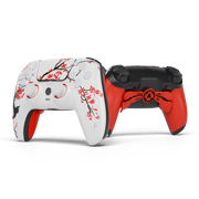 Cherry PS5 Aim Controller