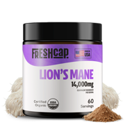 Lion's Mane Mushroom Extract Powder