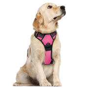 Rabbitgoo No Pull Dog Harness